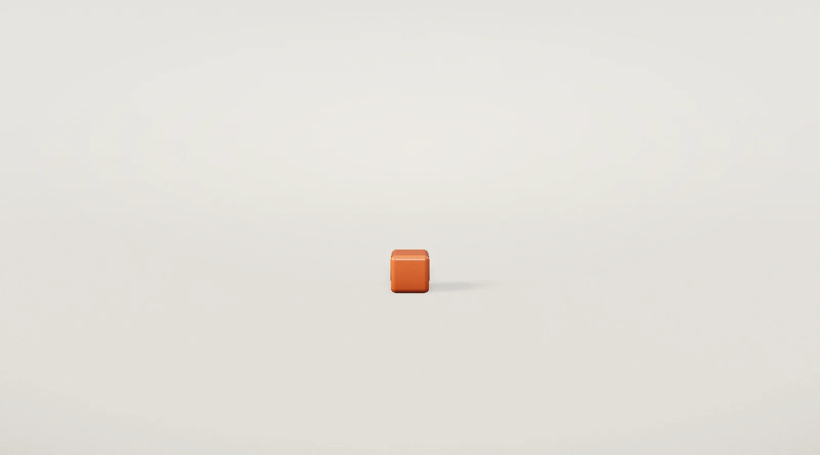 A single orange seed on white ground