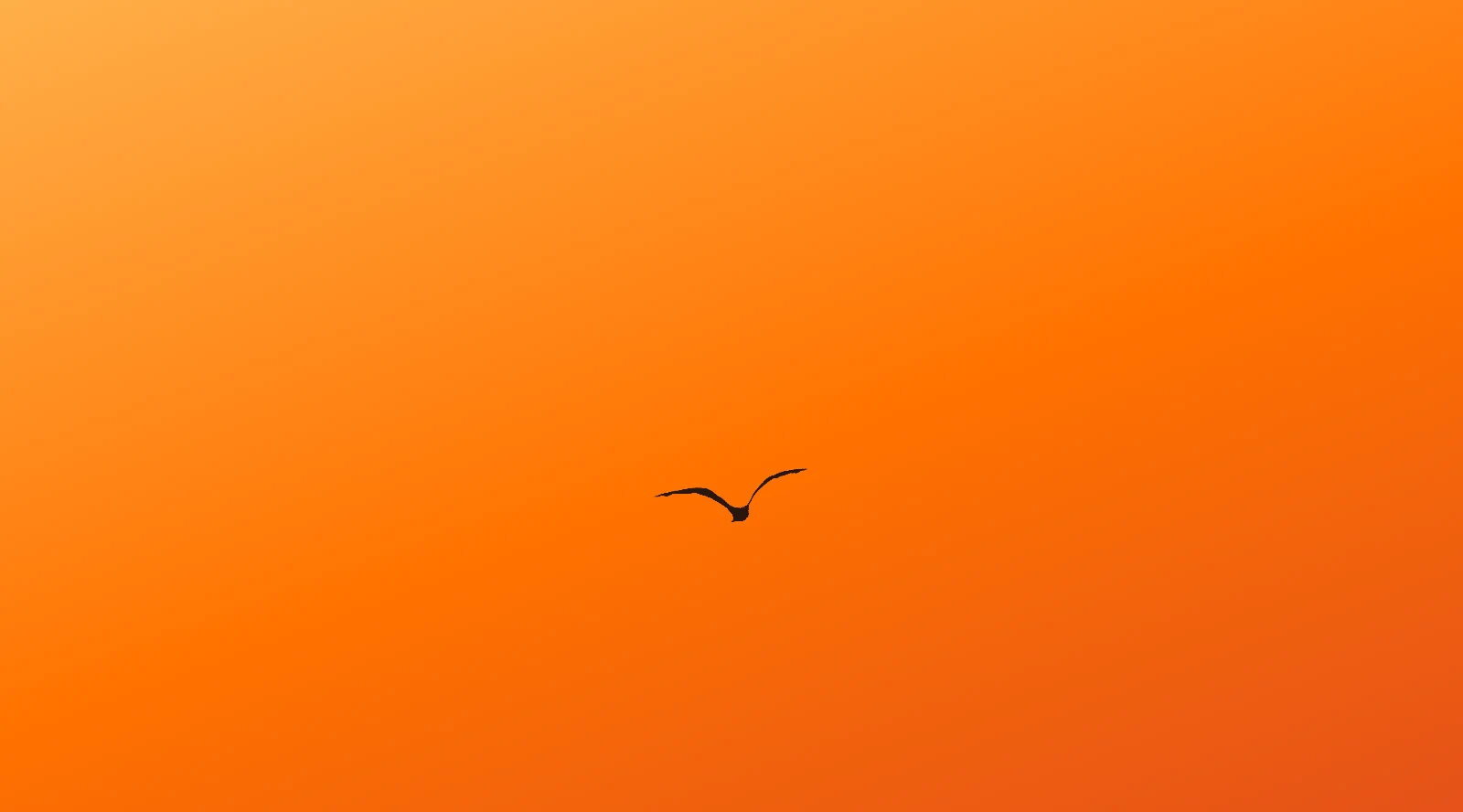 A single bird crossing an orange sky