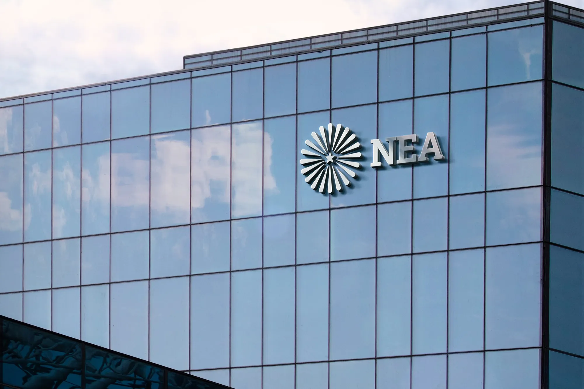 National Electricity Authority identity in use 02