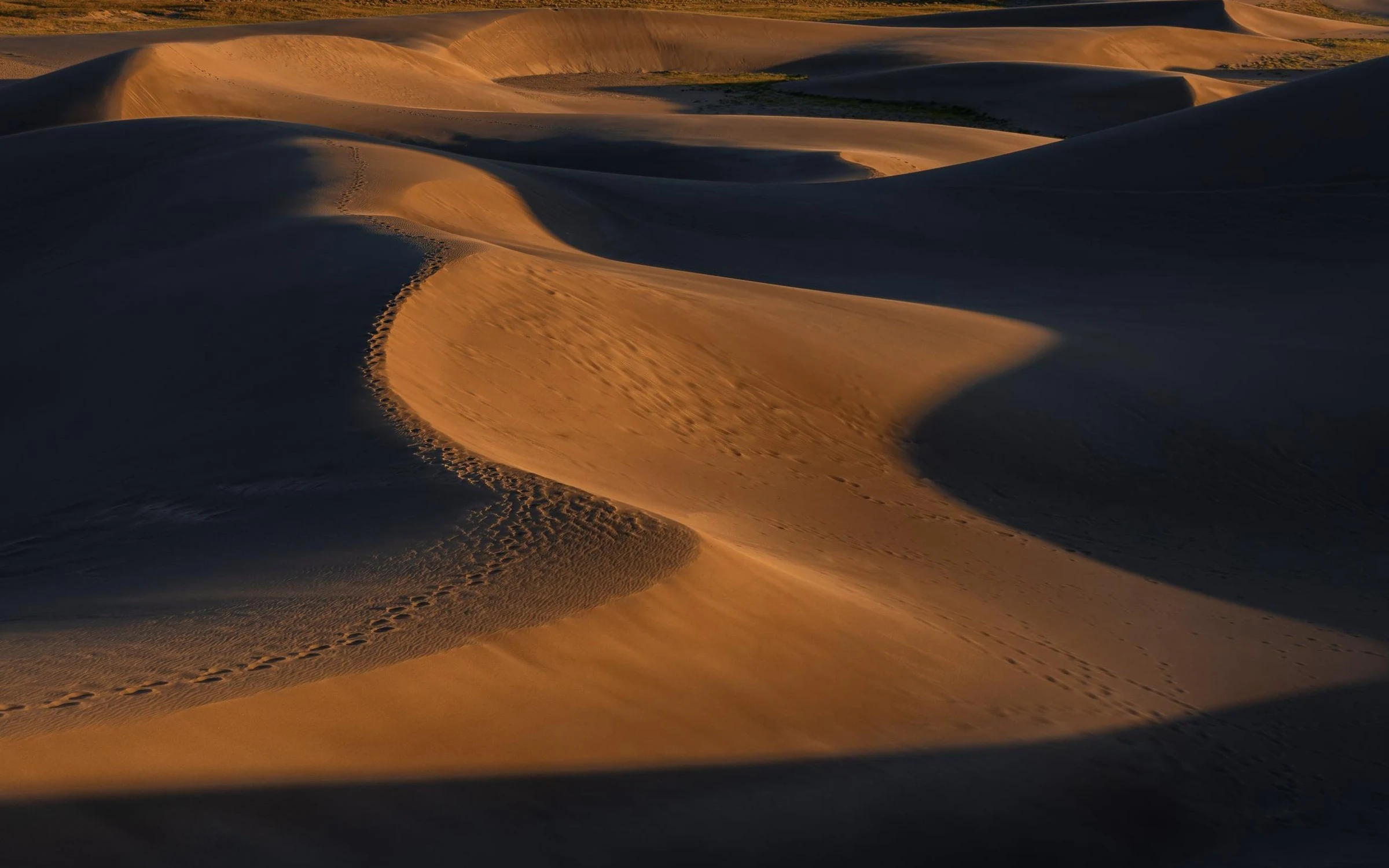 Desert dunes at golden hour