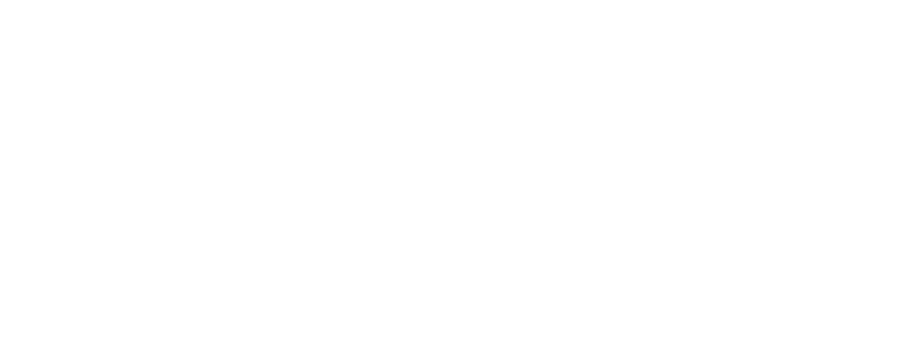 Sokonami logo